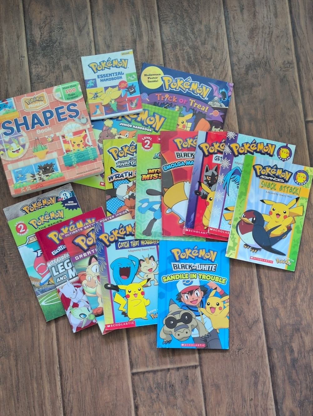 Pokemon Book Bundle